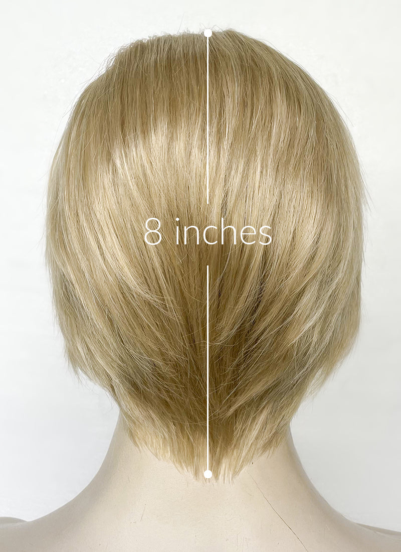 Light Ash Blonde Straight Lace Front Synthetic Men's Wig LF6020