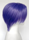 Blue Lock Blitzo Buckzo Purple Straight Lace Front Synthetic Men's Wig LF6060A