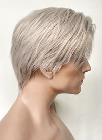 Pastel Grey Blonde Straight Lace Front Synthetic Men's Wig LF6092