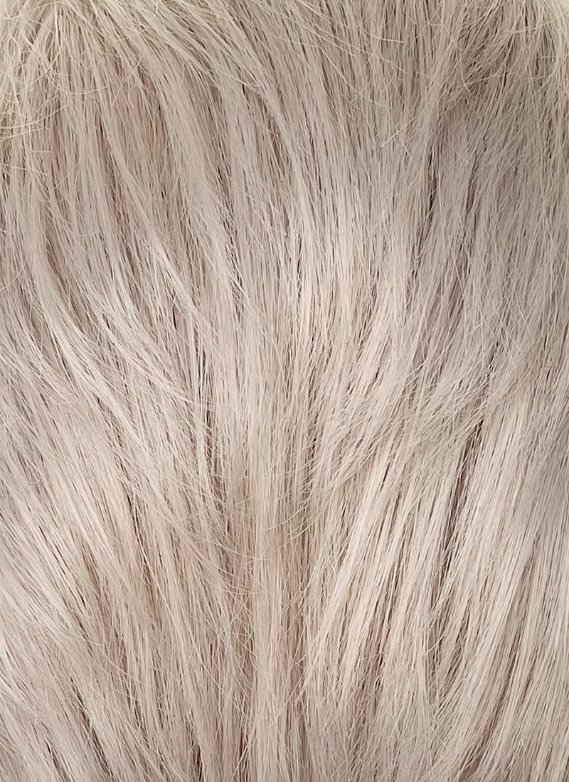 Pastel Grey Blonde Straight Lace Front Synthetic Men's Wig LF6092