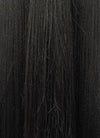 Heaven Official's Blessing Hua Cheng Natural Black Yaki Straight Lace Front Synthetic Men's Wig LF6104