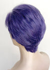 Purple Straight Lace Front Synthetic Men's Wig LF8005