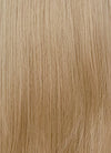 Ash Blonde Straight Lace Front Kanekalon Synthetic Wig LFK1281