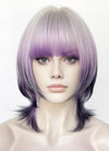 Grey Purple Mixed Straight Synthetic Hair Wig NS586