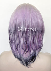 Grey Purple Mixed Straight Synthetic Hair Wig NS586