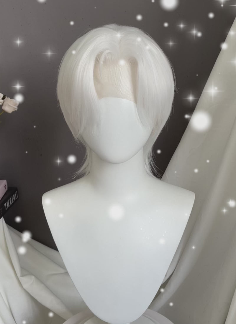 Pure White Straight Lace Front Synthetic Men's Wig LF6086